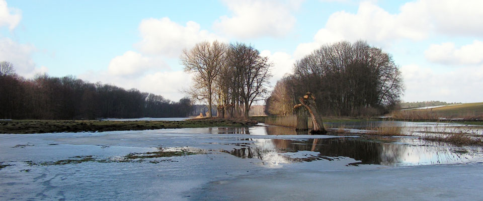 Kanał Kadzewski – wiosna – kanał przed odbudową